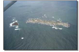 Aerial view of Dyer Island near Gansbaai